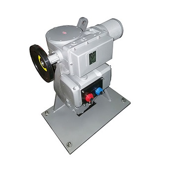 Electric actuator FRY:SMA+RS100/F ~ SMB+RS5000/F